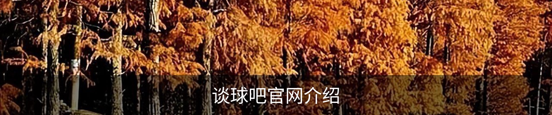 谈球吧官网介绍